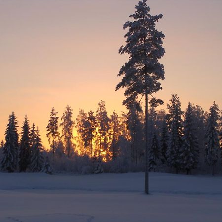 Villa Tiirinkallio Nilsiä Værelse billede
