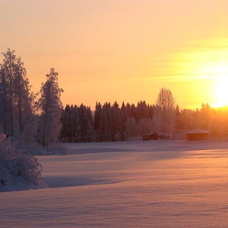 Villa Tiirinkallio Nilsiä Eksteriør billede
