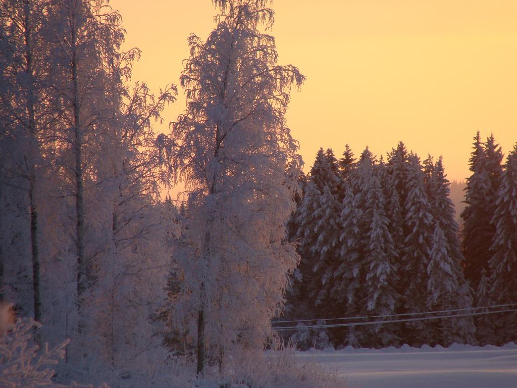 Villa Tiirinkallio Nilsiä Værelse billede