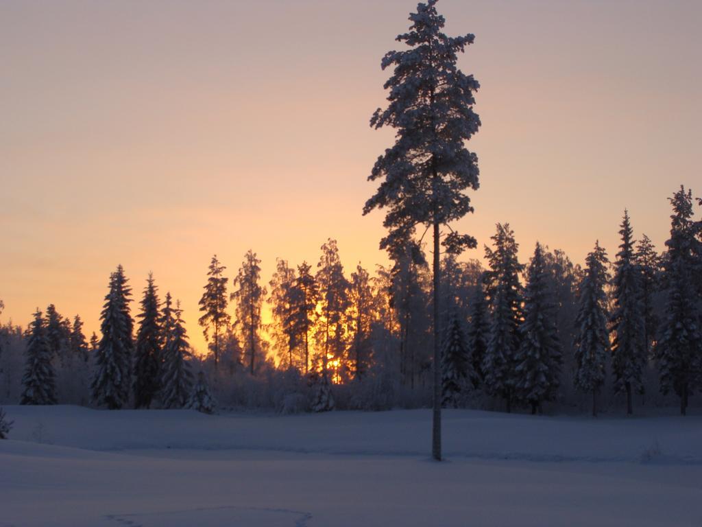 Villa Tiirinkallio Nilsiä Værelse billede