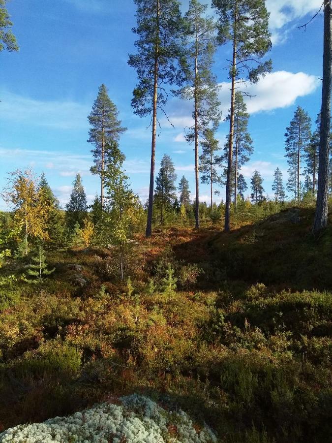 Villa Tiirinkallio Nilsiä Eksteriør billede
