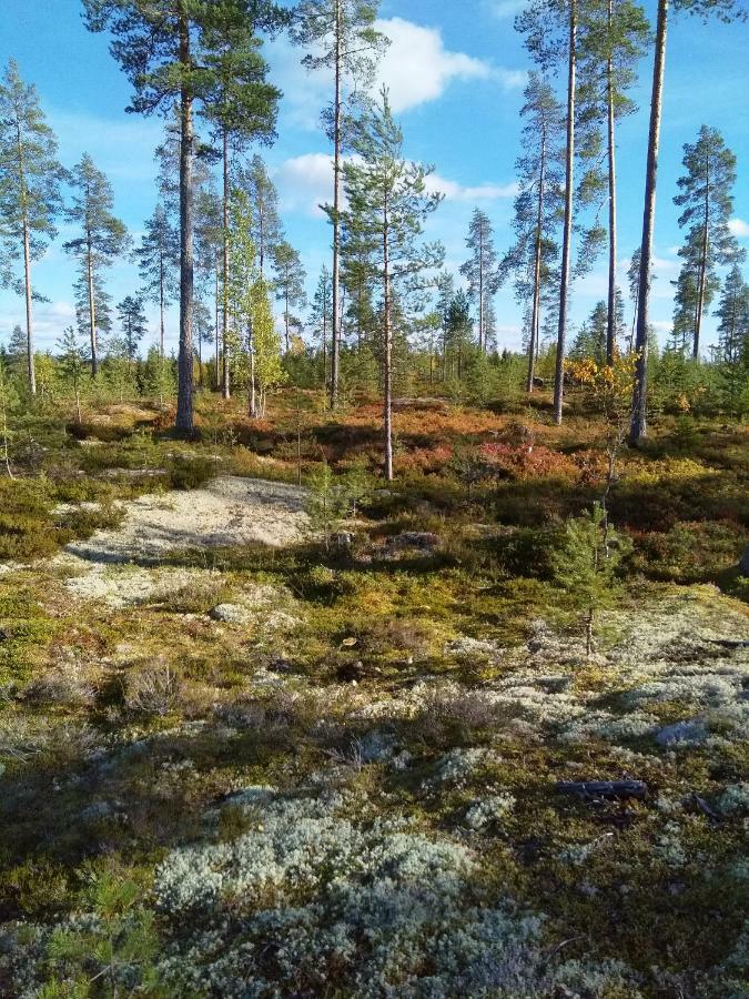 Villa Tiirinkallio Nilsiä Eksteriør billede