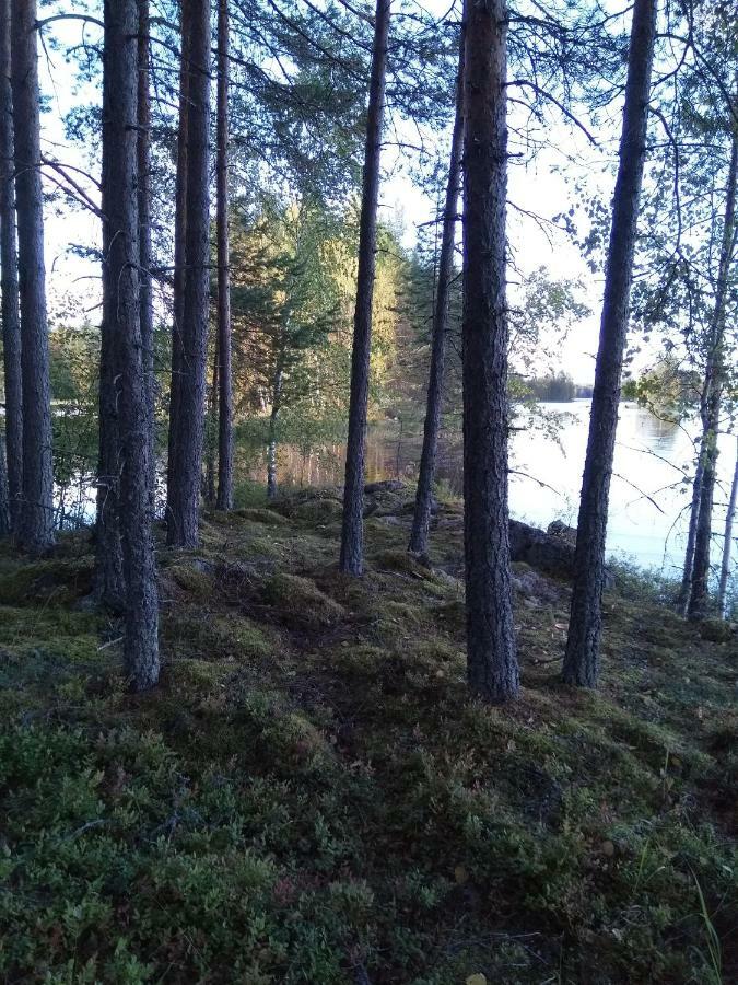 Villa Tiirinkallio Nilsiä Eksteriør billede
